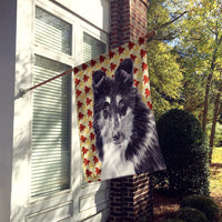 Black and White Collie Fall Leaves Flag Canvas House Size SC9678CHF