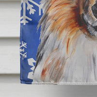 Collie Winter Snowflakes Flag Canvas House Size SC9766CHF