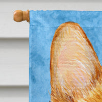 Corgi Flag Canvas House Size
