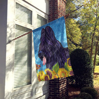 Briard Flag Canvas House Size