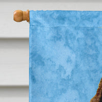 Springer Spaniel Flag Canvas House Size
