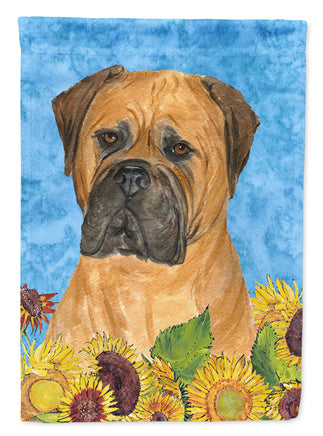 Caroline's Treasures, Carolines Treasures, house flags, dog flags, pet flags, porch flags, outdoor décor, outdoor flags, american made flags, flags made in the US