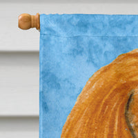 Cavalier Spaniel Flag Canvas House Size