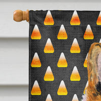Collie Smooth Candy Corn Halloween Portrait Flag Canvas House Size