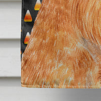 Brussels Griffon Candy Corn Halloween Portrait Flag Canvas House Size