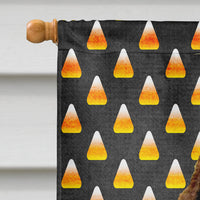 Springer Spaniel Candy Corn Halloween Portrait Flag Canvas House Size