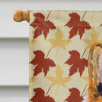 Collie Smooth Fall Leaves Portrait Flag Canvas House Size