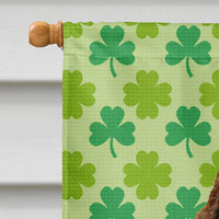 Springer Spaniel St. Patrick's Day Shamrock Portrait Flag Canvas House Size