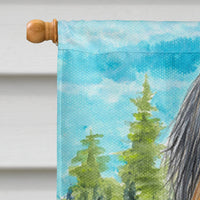 Briard Flag Canvas House Size
