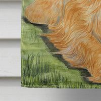 Briard Flag Canvas House Size