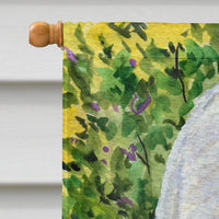 Cat - Devon Rex Flag Canvas House Size