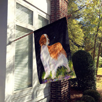 Starry Night Welsh Springer Spaniel Flag Canvas House Size