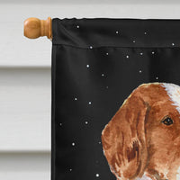 Starry Night Welsh Springer Spaniel Flag Canvas House Size