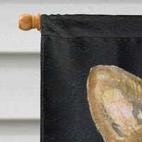 Corgi Flag Canvas House Size