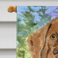 Chesapeake Bay Retriever Flag Canvas House Size