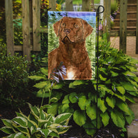 Chesapeake Bay Retriever Flag Garden Size
