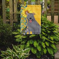 Summer Sunflowers Blue Pit Bull Terrier Flag Garden Size