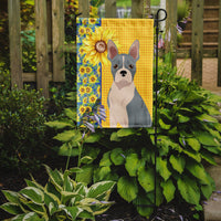 Summer Sunflowers Blue Boston Terrier Flag Garden Size