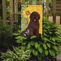 Summer Sunflowers Brown Newfoundland Flag Garden Size