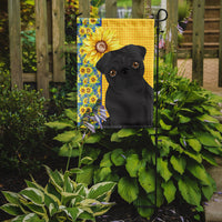 Summer Sunflowers Black Pug Flag Garden Size
