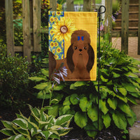 Summer Sunflowers Red Shih Tzu Flag Garden Size