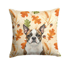 Caroline's Treasures, Fall Flag, Pillow (14" x 14"), Pet Flag, Dog Flag, Cat Flag, Outdoor Decor