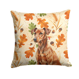 Caroline's Treasures, Fall Flag, Pillow (14" x 14"), Pet Flag, Dog Flag, Cat Flag, Outdoor Decor