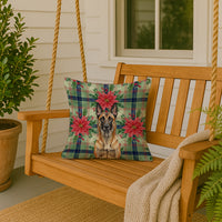 Belgian Malinois Christmas PoinsettIas Throw Pillow