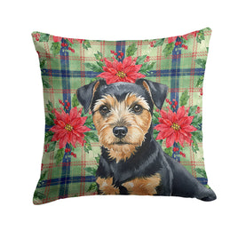 Caroline's Treasures, Christmas Flag, Pillow (14" x 14"), Pet Flag, Dog Flag, Cat Flag, Outdoor Decor