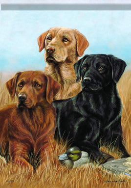 Carson Dogs The Pros 46470  Carson Garden Flag 12.5" x 18" '46470 Flags
