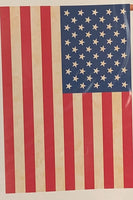 Darice Patriotic Tea Stained USA Flag 704-596TS Darice House Flag 28" x 40" 704-596TS Flags