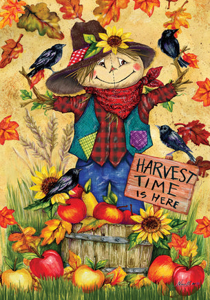 Custom Decor Scarecrow And Apples 2530 Decorative Flag 2530FL Flags